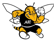American International College